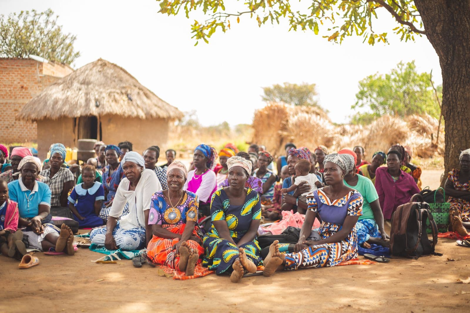 A community group meeting under a tree in an African village