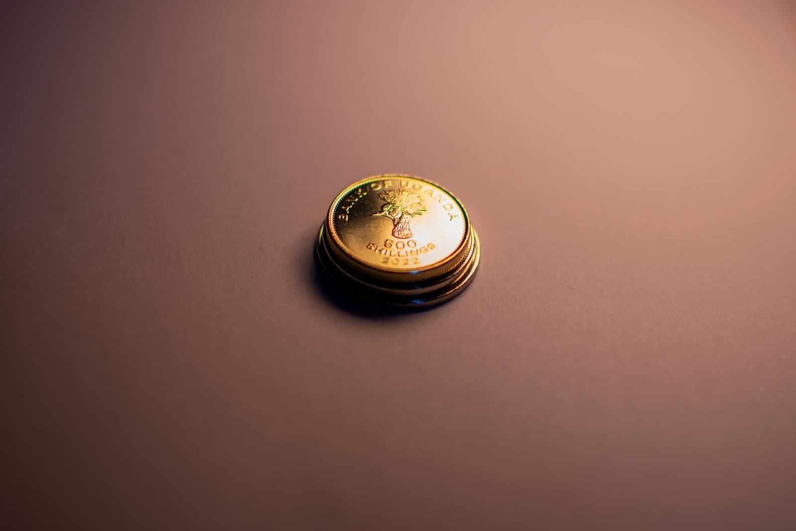 Close-up of Ugandan shilling coins, the currency used to buy Treasury bills and bonds in Uganda